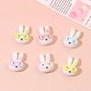 Miffy Rabbit DIY Resin Accessories: Glasses, Hair Clip, Shoe Buckle, Key Chain, Pendant, & Sticker