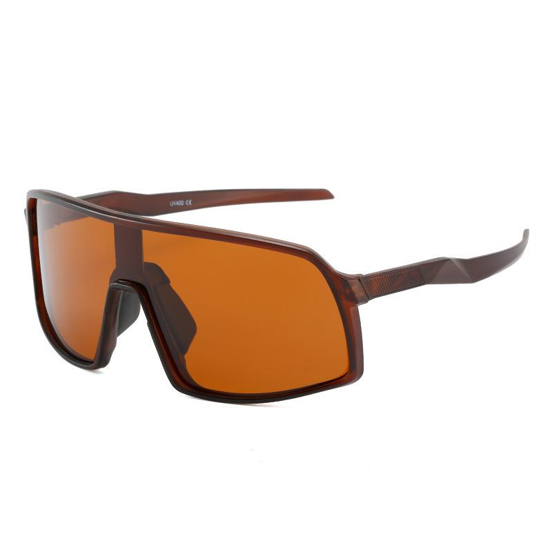 Dual-purpose bicycle windproof mountaineering polarized sunglasses goggles men