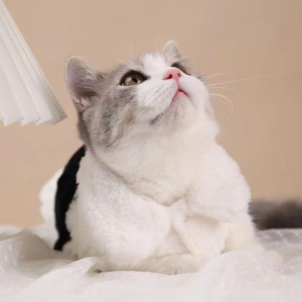 Одежда для домашних животных Элегантное роскошное зимнее пальто с мехом для собак, свитер для маленьких средних кошек, одежда с бантом, модная зимняя куртка для щенков, комбинезон для котенка