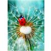 5D Diy Diamond Painting Dandelion Diamond Embroidery Cross Stitch Kits Home Decor Handmade Gift