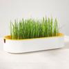 Cat Grass Planter Soilless Planting Visible Water Level Drain Grid U-hole Sturdy Sink Detachable Catnip Grow Box Pet Supply