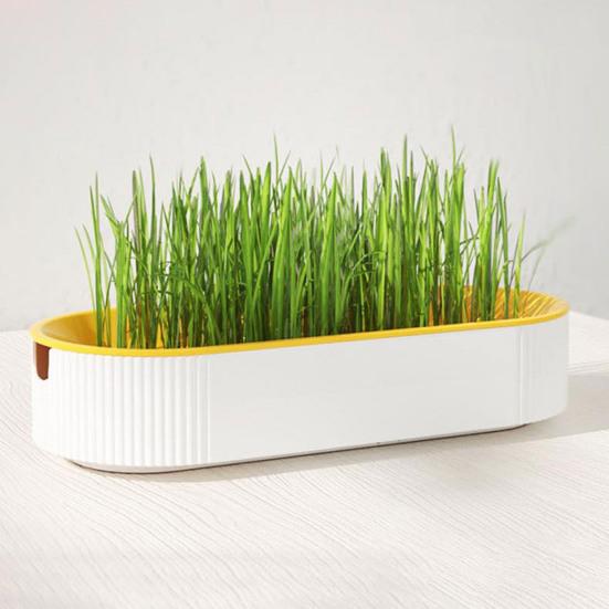 Cat Grass Planter Soilless Planting Visible Water Level Drain Grid U-hole Sturdy Sink Detachable Catnip Grow Box Pet Supply