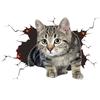 3D Three-dimensional Cat Sticker Creative Sticker Body Rear Scratches Blocking Sticker Cute Decroative Accessories