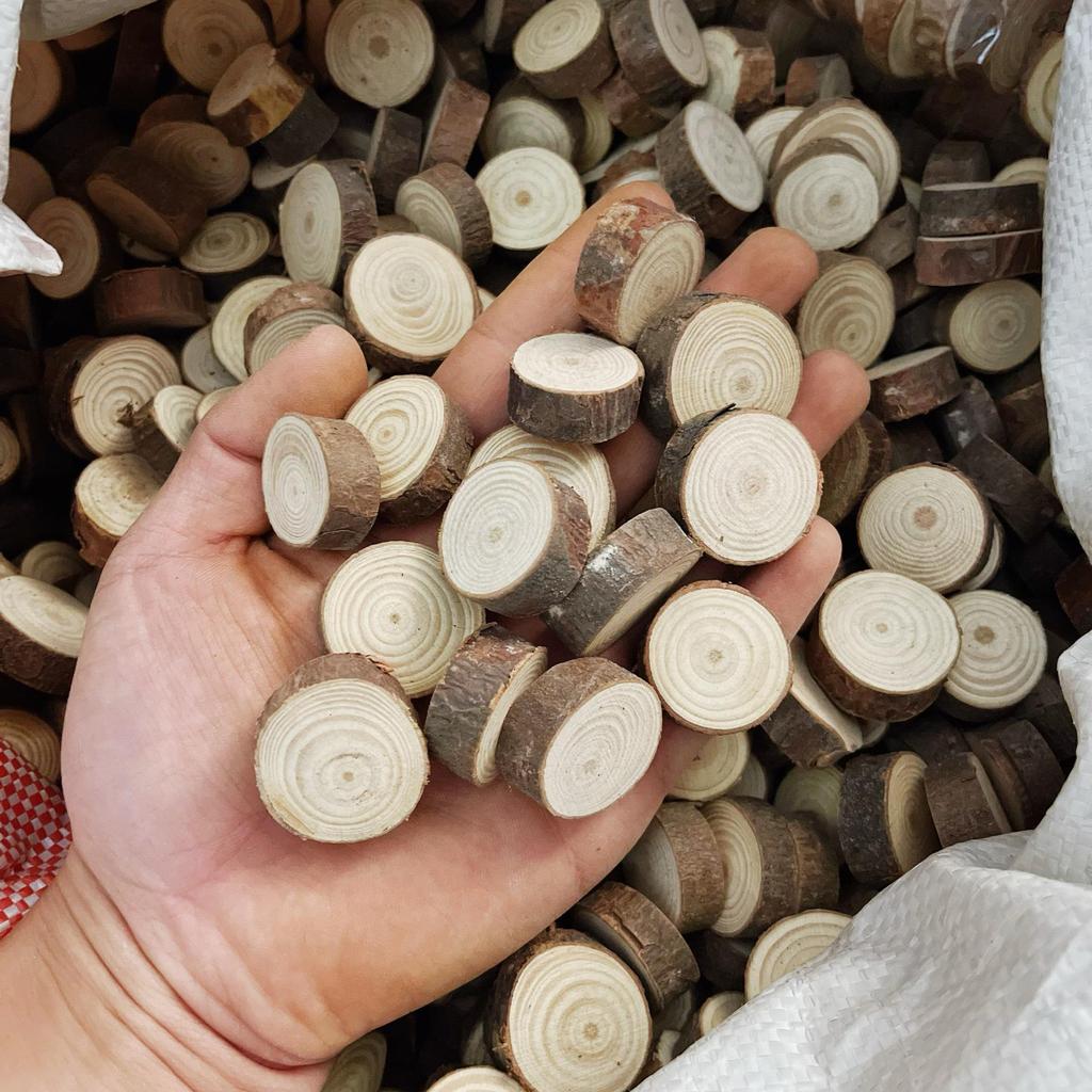 Деревянные срезы для поделок и декора детского сада, расписанные вручную – Маленькие кусочки натурального дерева с годичными кольцами
