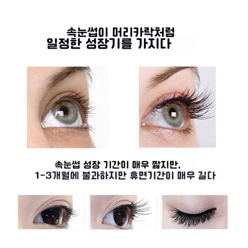 1/1+1 Japanese Eyelash Supplement Eyelash Serum Eyelash Essence Eyelash Extension Eyebrow Hair Growth Essence Non-irritating, 1 Piece, 5ml
