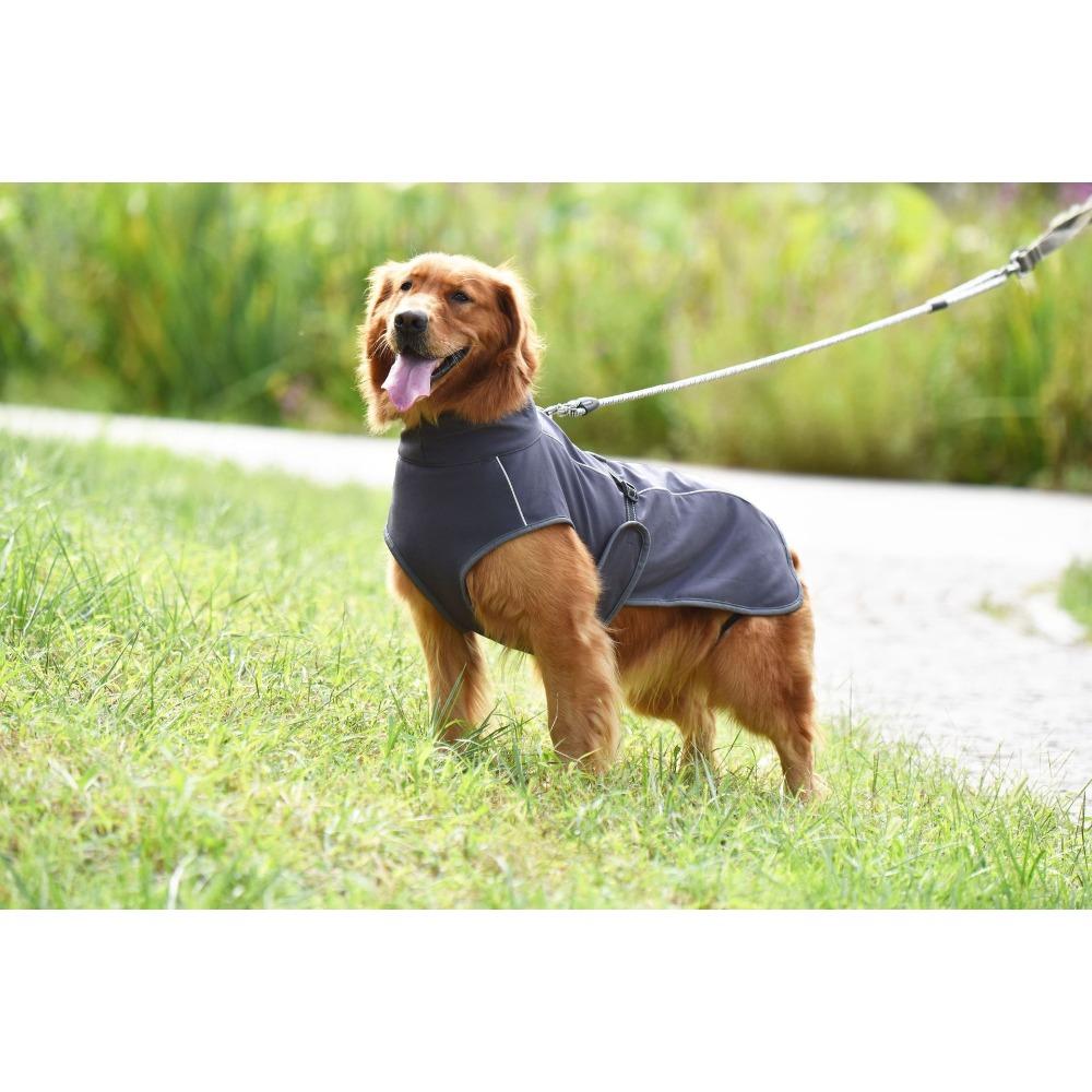 Уличная Светоотражающая Одежда для Больших Собак, Жилет для Собак, Одежда для Домашних Животных для Крупных Собак, Куртка, Хлопковое Пальто для Собаки Золотистый Лабрадор