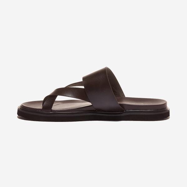 Stephanorosi biota-SR08179