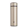 Fuguang 304 Stainless Steel Portable Thermos Tea Mug with Filter