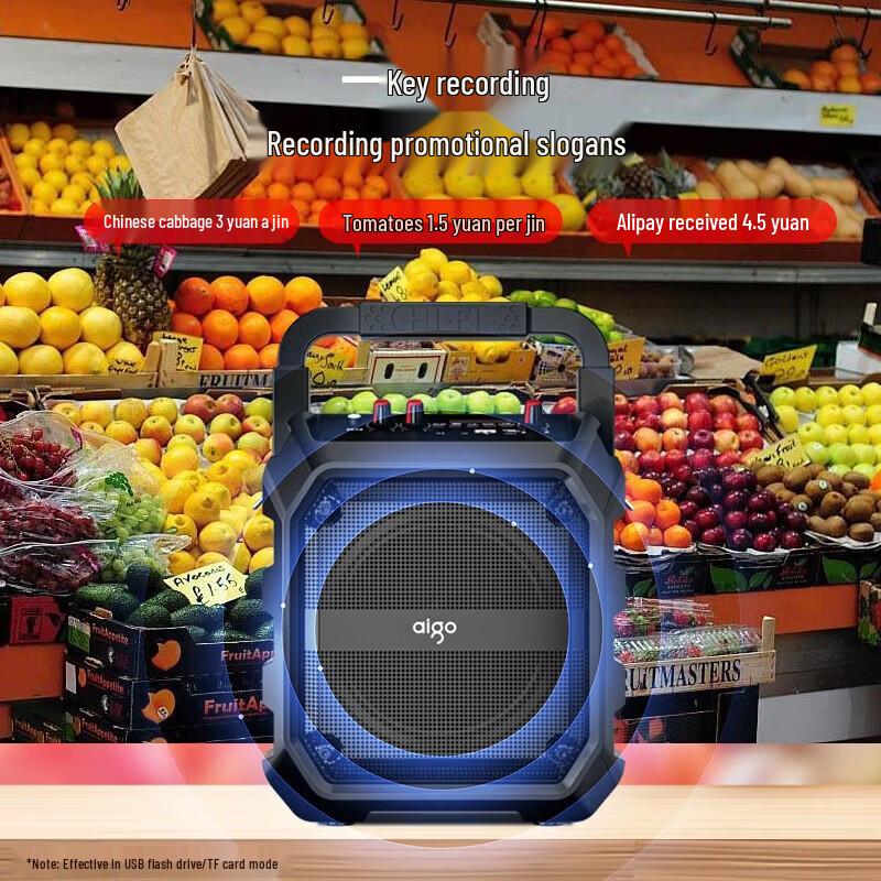 Портативная уличная Bluetooth-колонка aigo T52 Lite с радио, штекер CN (адаптер в комплекте)
