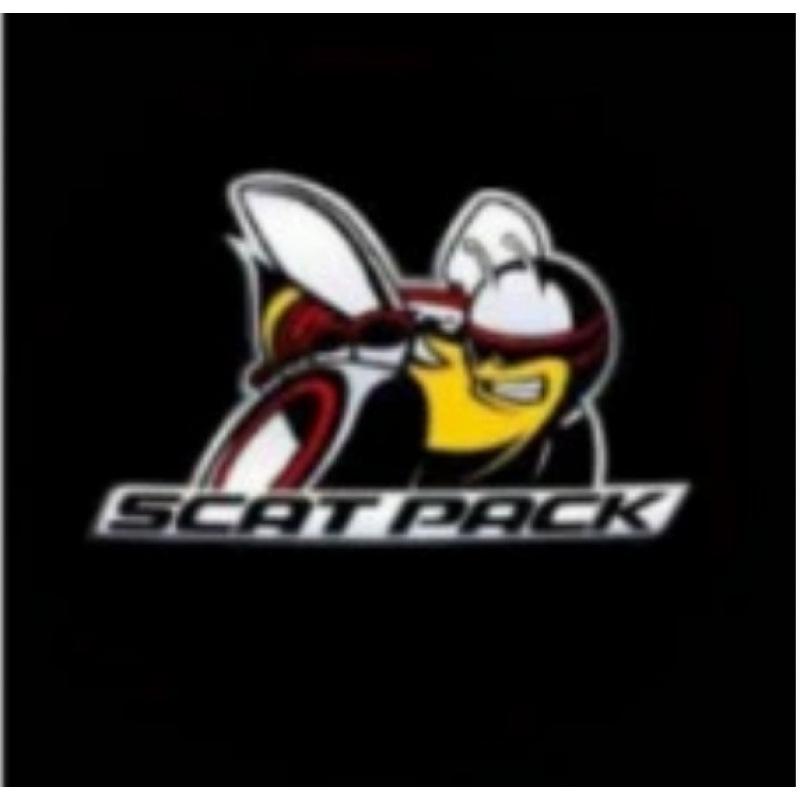 Светодиодная подсветка для дверей автомобиля Dodge/Challenger/Chrysler 300C (проекция приветствия)