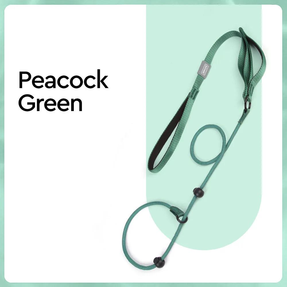 Nylon Slip Lead Dog Slip Leash and Collar Dog Training Leash with Double Handle Heavy Duty Dog Lead No Pull Puppy Walking Leash