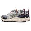 Asics Кроссовки унисекс Gel Trabuco Terra SPS Stone Grey Midnight 1203A238-020