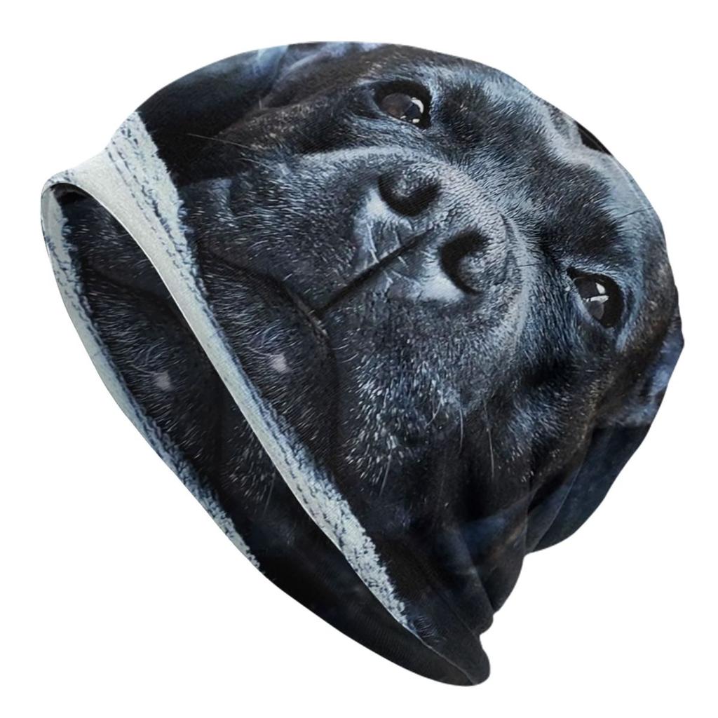 Английские шапки с черепами для бультерьера, уличная зимняя теплая женская вязаная шапка унисекс, шапка с капюшоном для животных, домашних питомцев, щенков