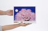 Beverly 1000-Piece Jigsaw Puzzle "Garyu Sakura" (49 x 72 cm) 1000-047 (Made in Japan)