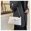 Spring and Summer Bags 2025 New Trendy Fashion Versatile Chain Underarm Small Square Bag Retro Women's Bag Shoulder Bag