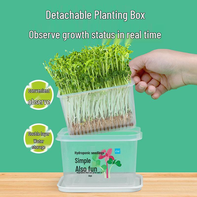 Children's Planting Kit: Hydroponic Vegetable & Radish Seedlings, Green Plants for Kindergartens, Seed Growth Observation for Primary Students