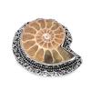 Ammonite Fossil Gemstone 925 Sterling Silver Jewelry Ring Size 9
