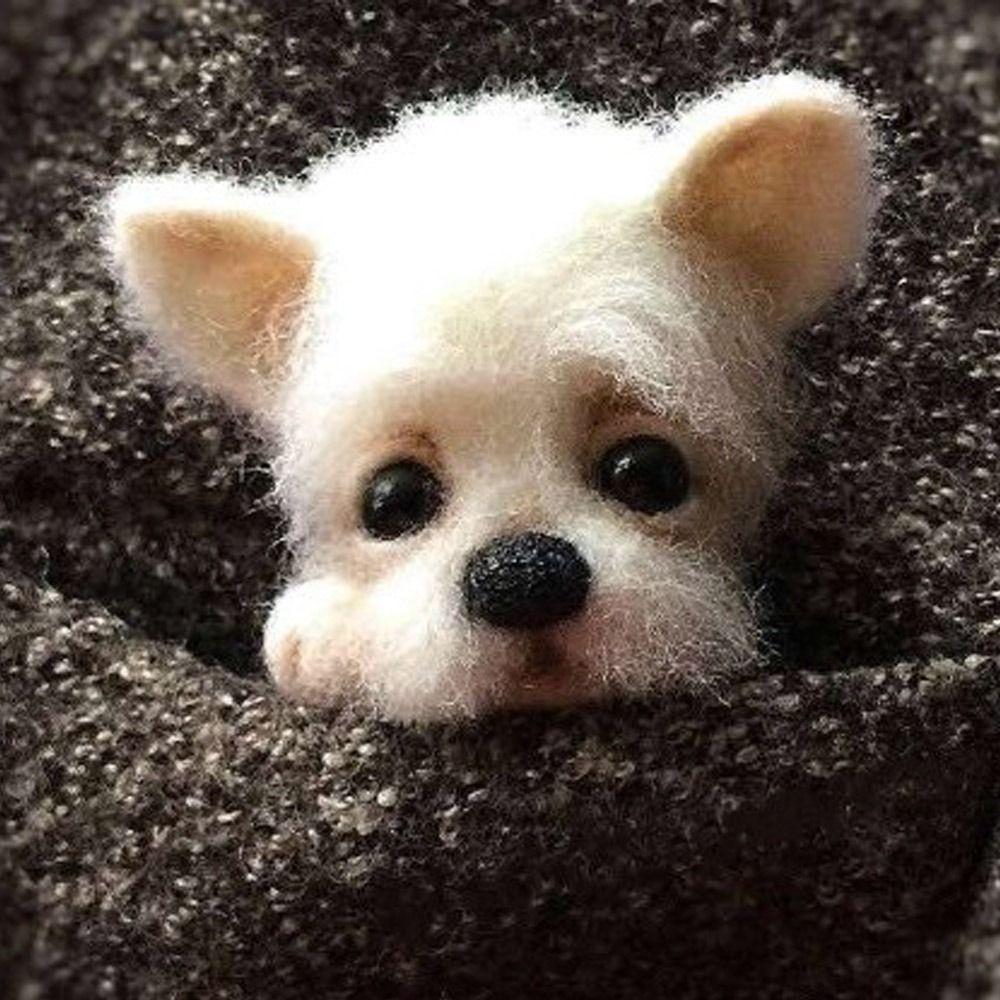 Cartoon Felt Toy Gift Handmade Material Kit Animal Wool Felting Wool Doll Brooch Needle Felting Kit