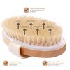 Exfoliating Wooden Body Massage Shower Brush Natural Bristle Bath Brush Soft SPA Woman Man Skin Care Wet Dry Body Brush