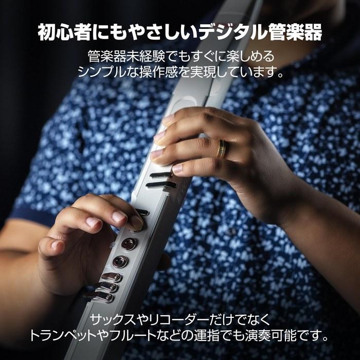 Akai Professional EWI 5000 Духовой синтезатор (белый)