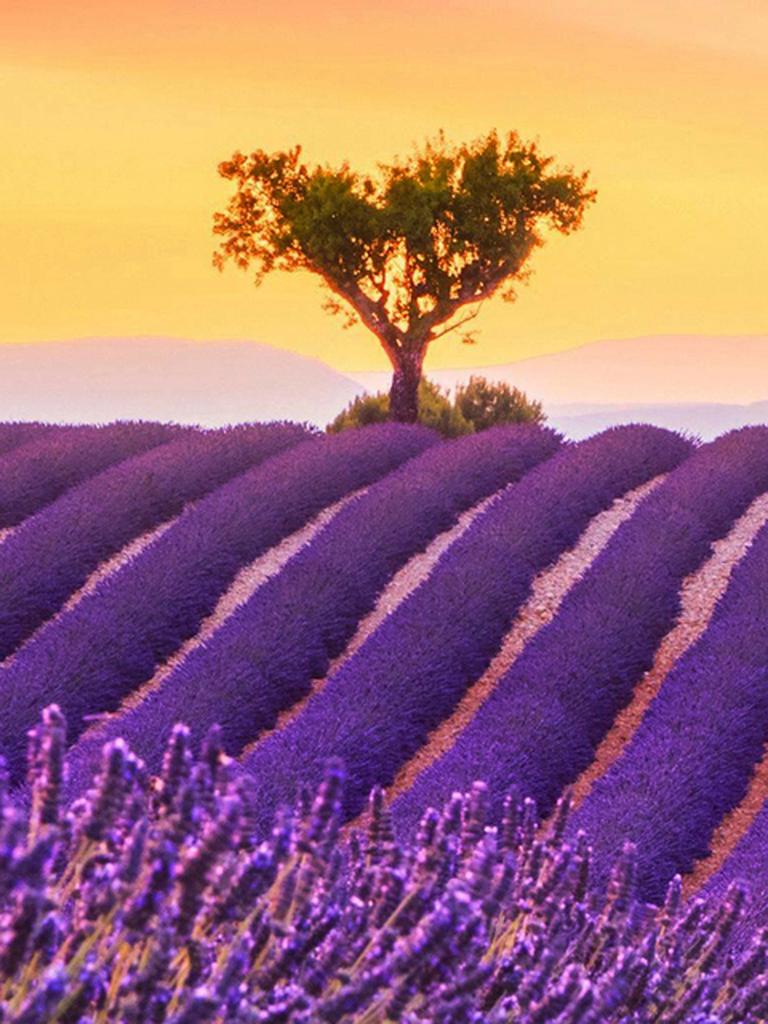 Круглая алмазная вышивка «сделай сам», пейзаж, цветок, море, 5D алмазная живопись, вышивка крестиком, лавандовая мозаика, украшение дома, подарок на Новый год