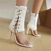 Women's High-heeled Sandals Sexy European and American Style Summer New Thin-heeled Large-size Roman Cool Boots