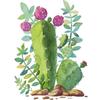 Красочная алмазная живопись Кактус 5D полная круглая Алмазная вышивка мозаика растение ручной работы комплект декора для дома