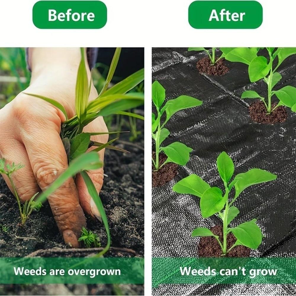 Pre-punched Holes Weed Proof Cloth Biodegradable Weed Control Ground Cover Irrigation Use