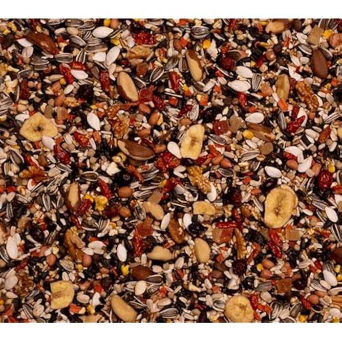 Birdelicious Perroquets Pantana