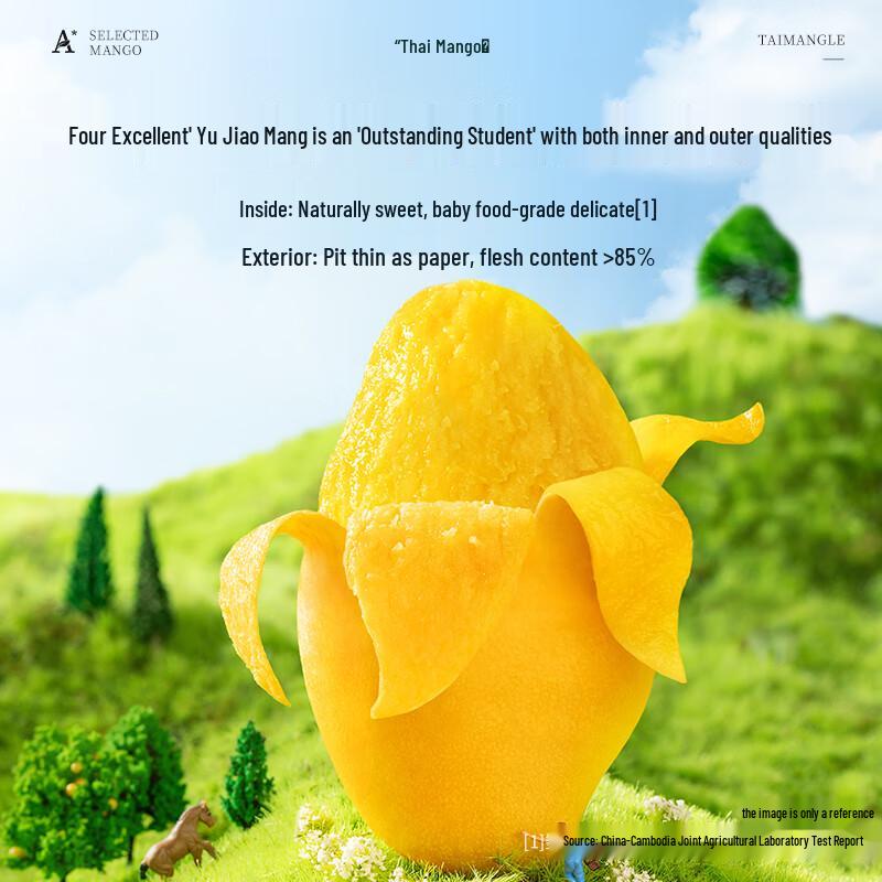 Taimangle Reduced Sugar Whole Cut Dried Mango Strips 70g