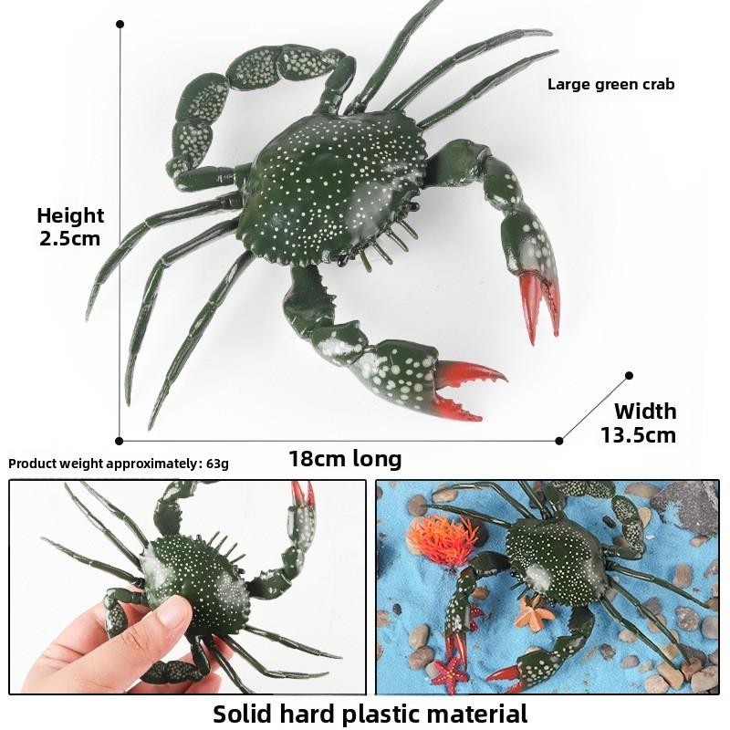 Crab Ocean Life Plastic Model Toy For Children Learning Marine Biology And Aquarium Decor