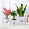 Lazy Hydroponic Flower Pot Automatic Water-Absorbing Flowerpot Transparent Double Layer Plastic Self Watering Planter Office