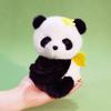 Cute Panda Soft Toy With Hypoallergenic Material For Gift And Doll Collectors