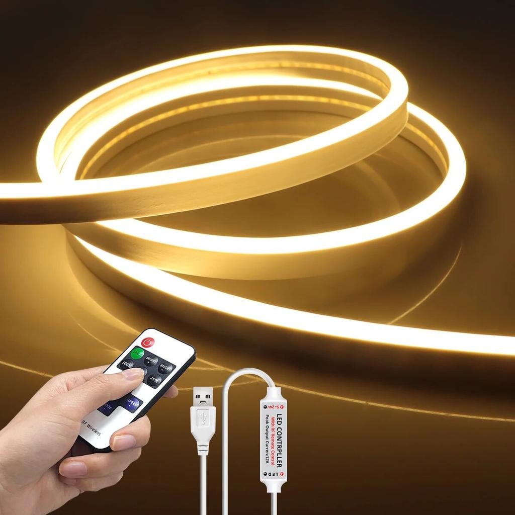 5V USB LED Neon Light Strip Touch Sensor Dimmable Flexible Neon Sign Tape 120LED With Wireless Remote Control Ribbon Room Decor