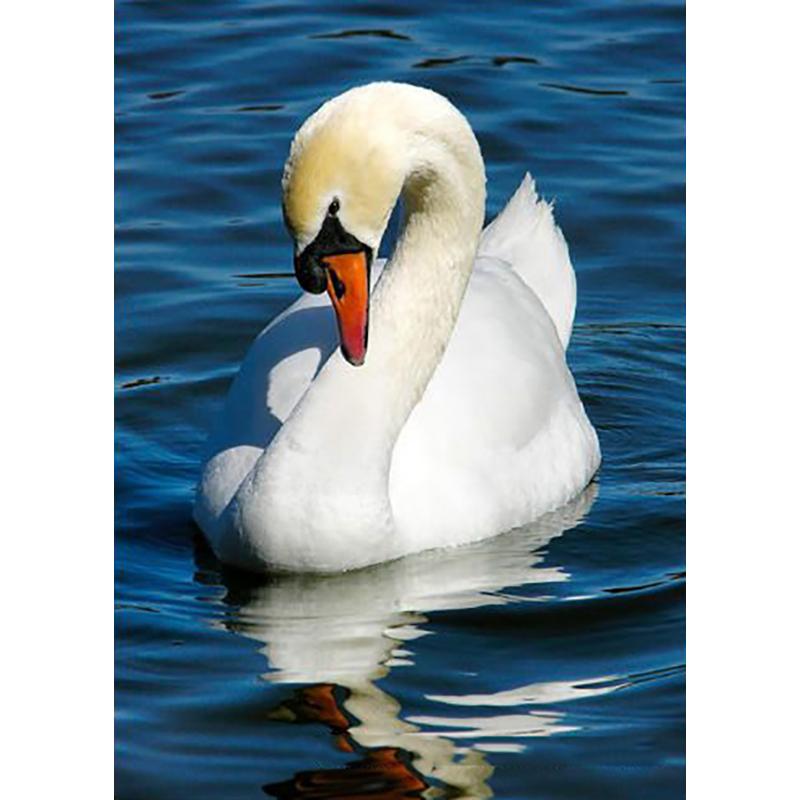 DIY Лебедь 5D алмазная живопись полная круглая дрель Алмазная вышивка животные стразы набор для вышивки крестом подарок домашний декор