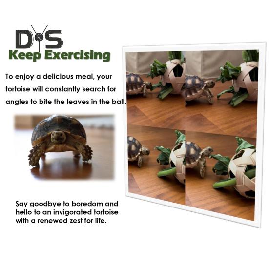 Мяч для кормления черепахи и набор для обучения скейтборду, набор игрушек для маленьких животных, фруктов, овощей и мини-скейтборда