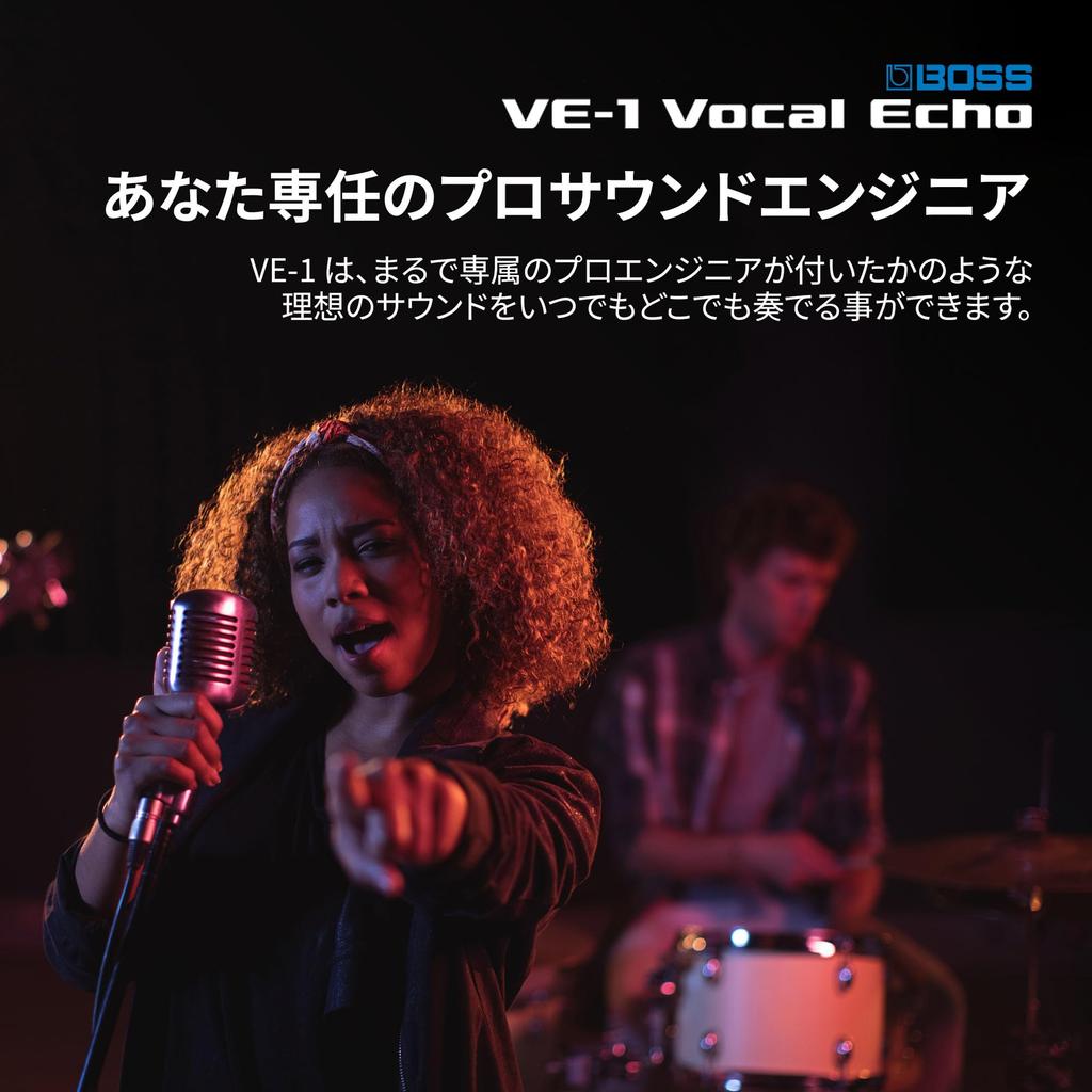 BOSS Vocal Echo with Dual Power Pitch and Live Vocal Effects VE-1 Battery/AC Supply, Reverb, Correction,
