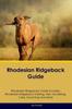 Книга Rhodesian Ridgeback Guide Rhodesian Ridgeback Guide Includes : Rhodesian Ridgeback Training, Diet, Socializing, Care, Grooming, and More