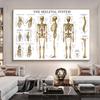 Human Musculoskeletal System Anatomy Poster Human Anatomy Medical Wall Decoration Medical Education Canvas Painting Wall Sticker