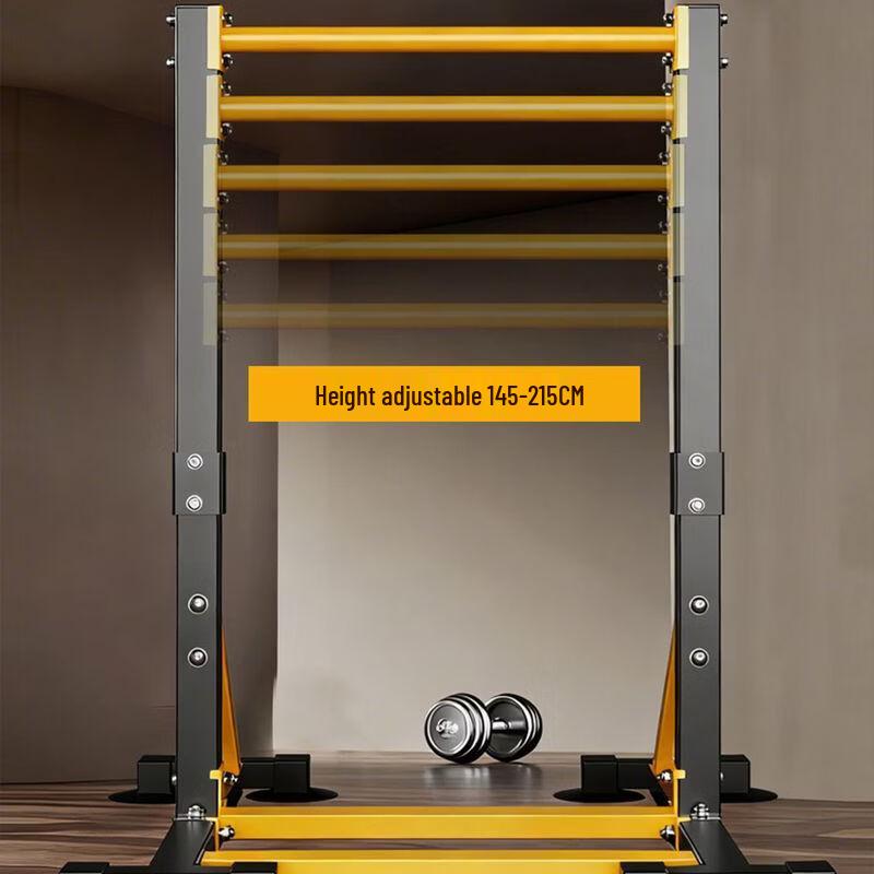 Home Adjustable Pull-Up & Dip Station
