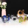 Special-shaped Glass Vase - Creative Nordic Hydroponic Decor for Living Room & Restaurant