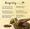 Nat Habit - Fresh Ready To Apply Henna Paste, Pre-Soaked in Black Tea and Herbs,100% Natural Pack of 2 x 220g