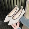 2024 Color Matching Hot Selling Slip-on Comfortable Pointed Toe Spring and Autumn Women's Single Shoes Low Heel Women's Shoes
