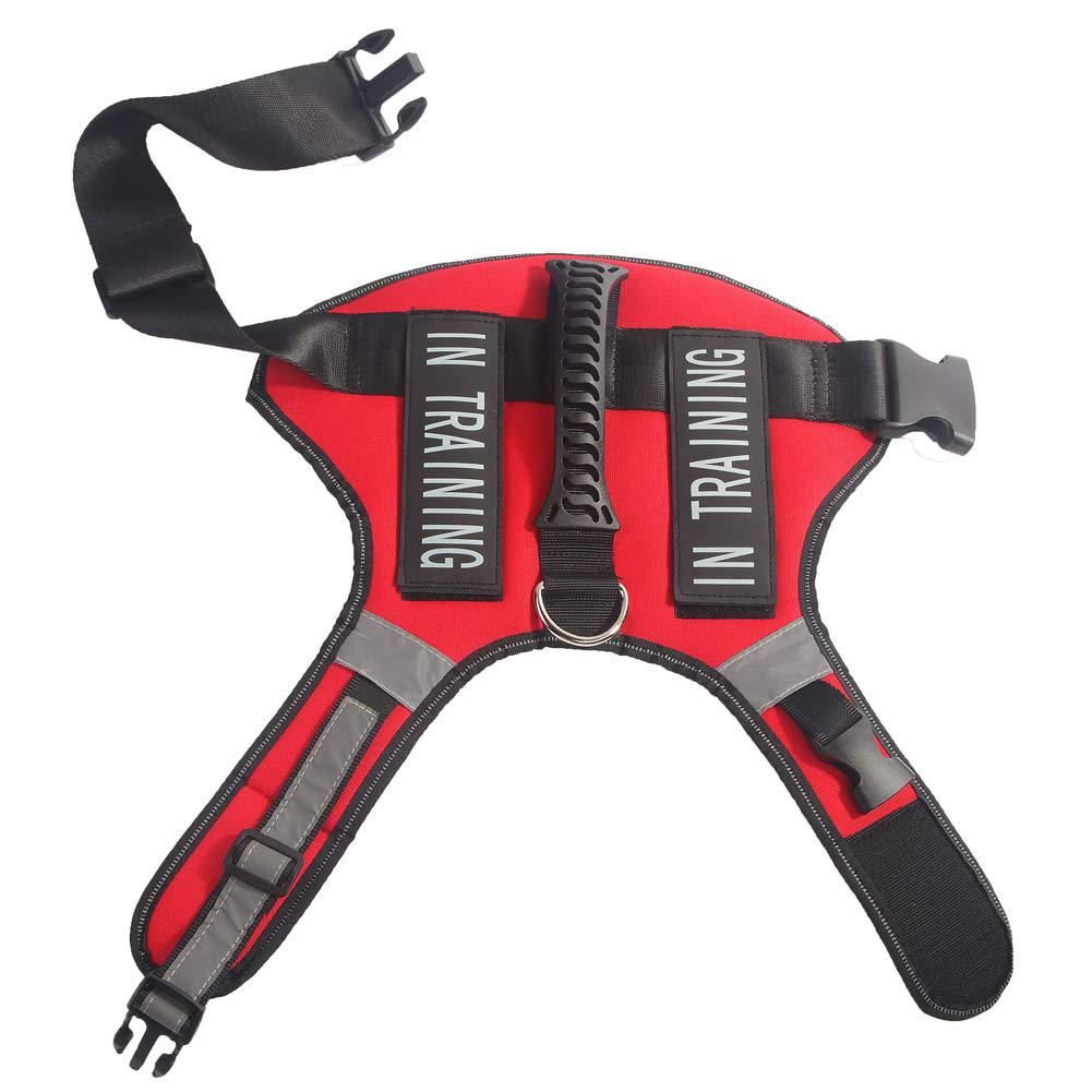 Red Service Dog Pet Harness for Outdoor Walking