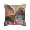 Funny Explosion Hamster Square Pillow Cases  Cushion Cover Creative Polyester Decorative Pillowcover for Seat xcm