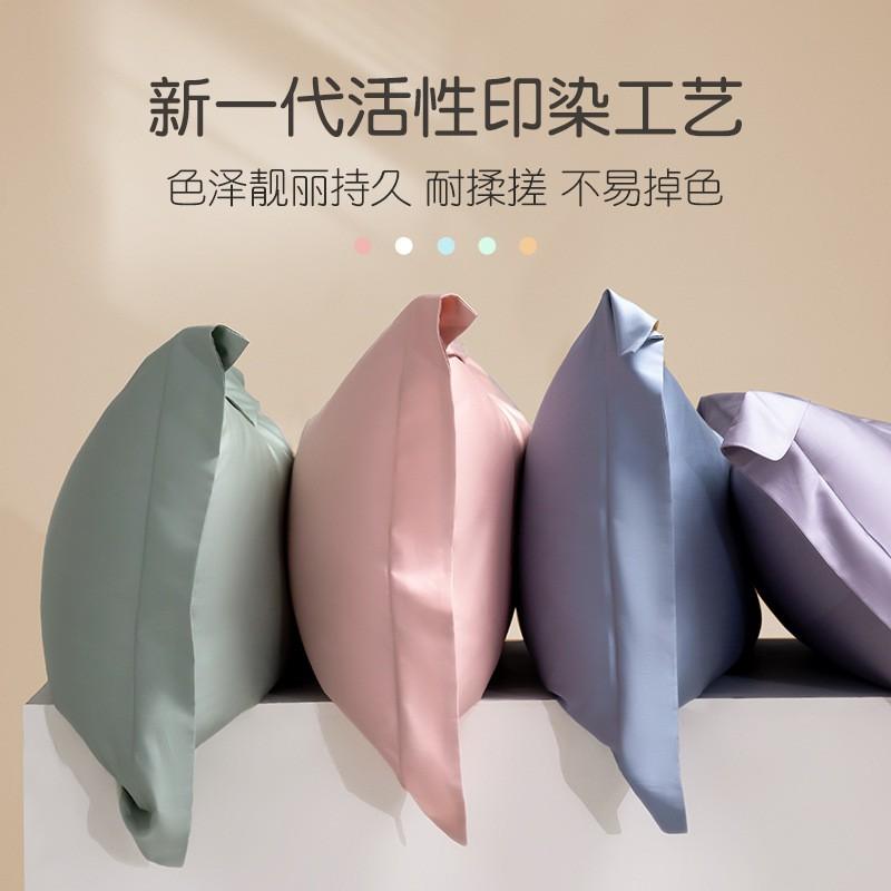 Premium 100% Long Staple Cotton Pillowcase Set 48x74cm Pair Soft Sateen Finish Solid Color Luxury Bedding Single Pillow