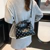 Niche Bag Women's Large-capacity New Retro Polka Dot Shoulder Messenger Bag Casual Portable Dumpling Bag