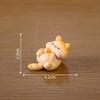 Adorable Resin Fat Cat Figurine Blind Box Cute Cartoon Miniature Animal Decor