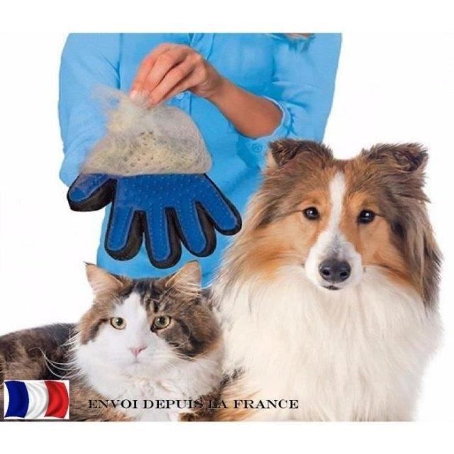 Gant de toilettage - Brosse - Massage - Facile à nettoyer - Pour chien et chat - Taille moyenne