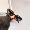 Cat Eye Shape Men'S Designer Sunglasses Korean Fashion Anti-Glare Sunglass For Women Holiday Travelling Female Sunglass